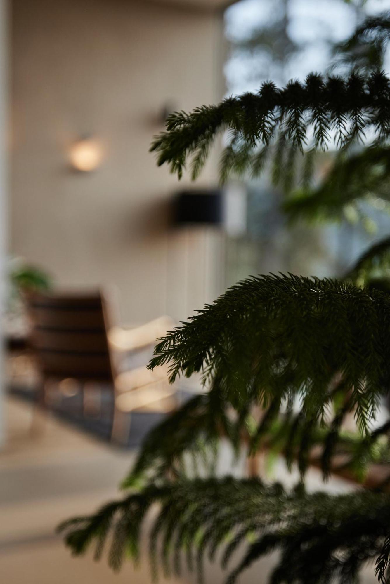 Hotel Saltus San Genesio Atesino Zewnętrze zdjęcie